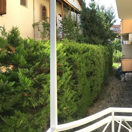 Anatolia غومولدور