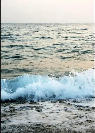 فندق Anatolia *